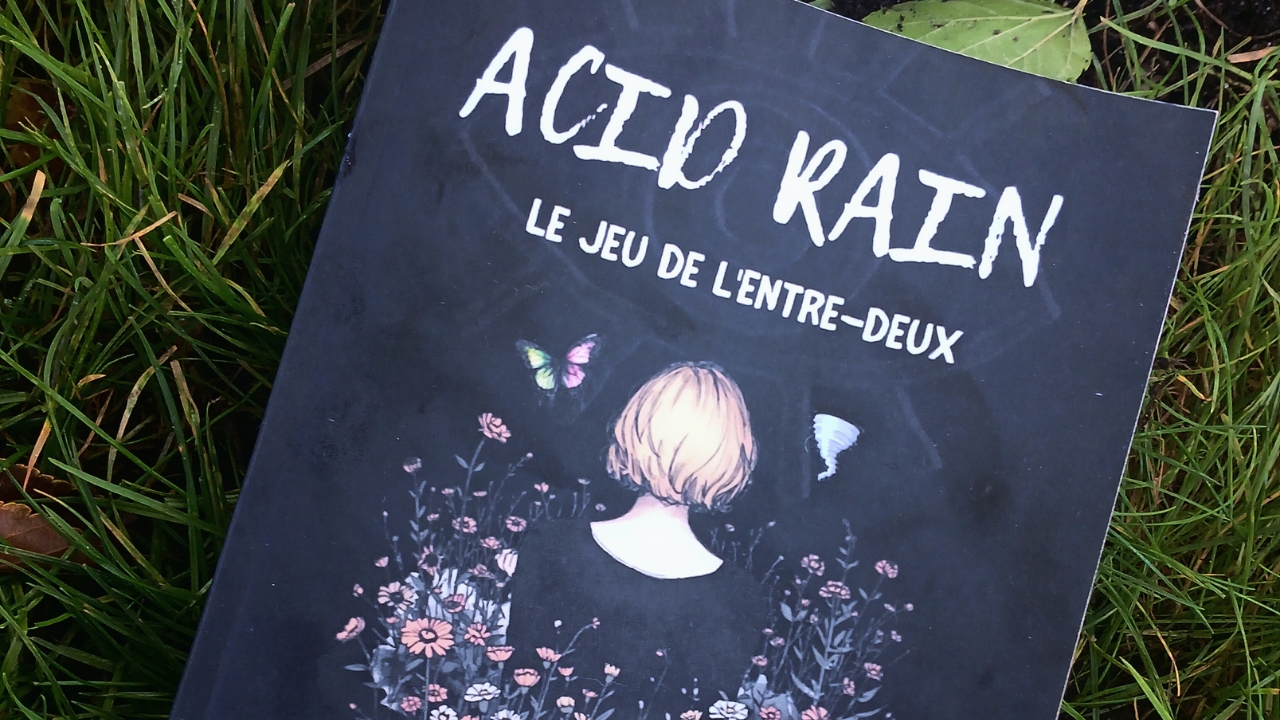 Auto-critique d&rsquo;ACID RAIN, mon roman
